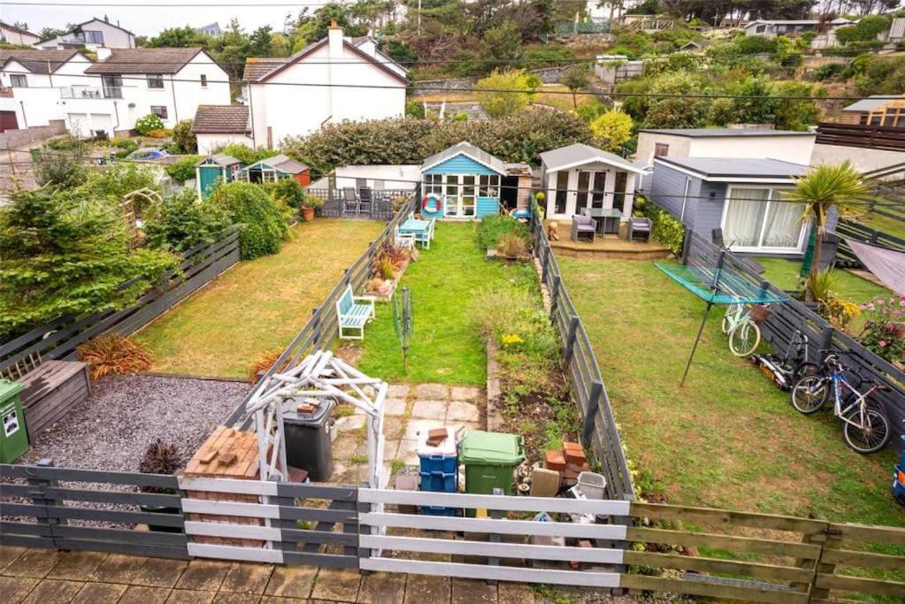 Seabird at Trearddur Bay, Trearddur