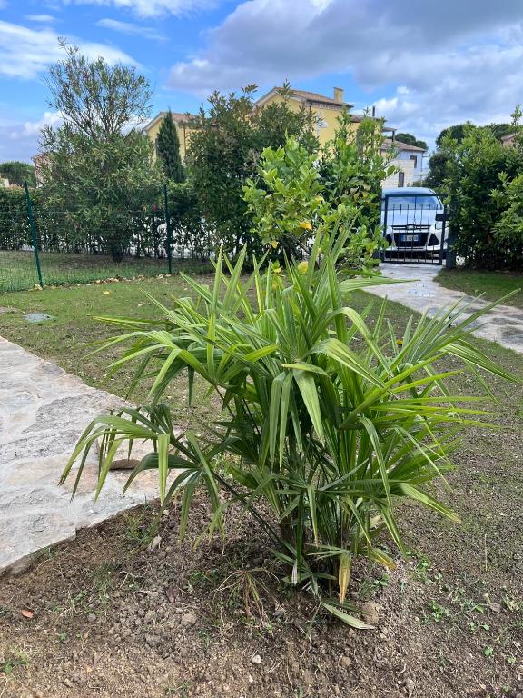 Casa Antia, nuovo bilocale con giardino in Residence con piscina - 5