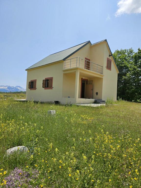 Alpe Residence Korita - 1