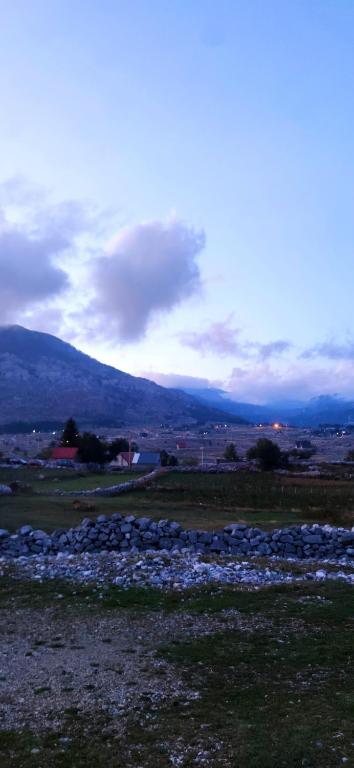 Alpe Residence Korita - 4