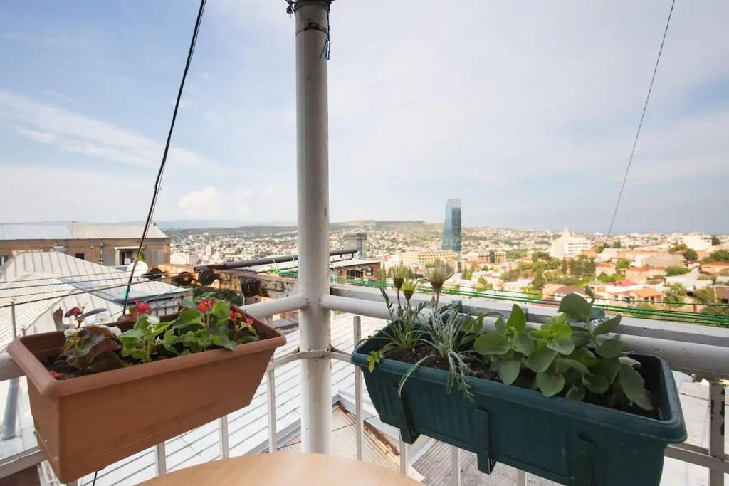 Makashvilis 24, Tbilisi