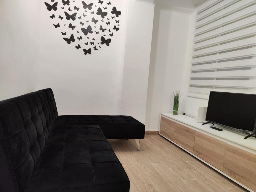 Apartamentos avenida de la paz 3 - 4