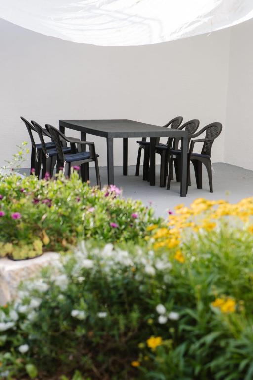 Apartman Rafael, Murter