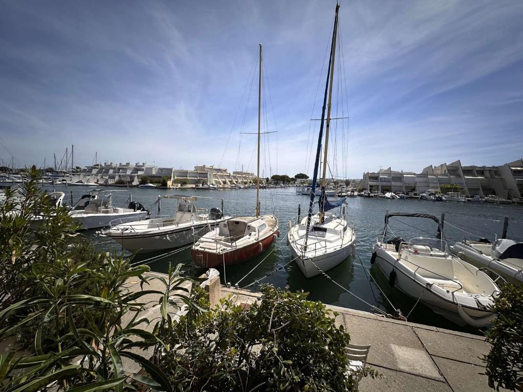 Marina 2 pièces bord de mer, parking privé, 5 pers - FR-1-731-77 - 1