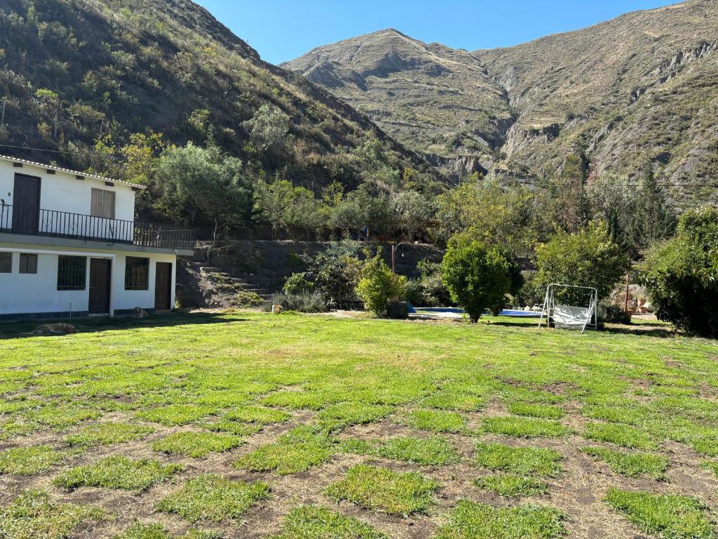 El bosque huajchilla - 5