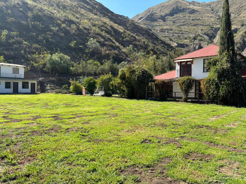 El bosque huajchilla - 4