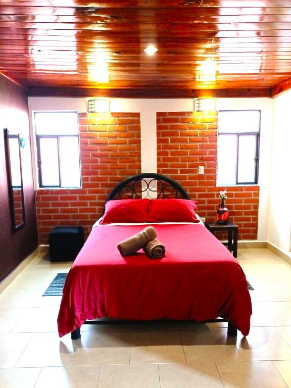 Casa Flor de Vida - 4