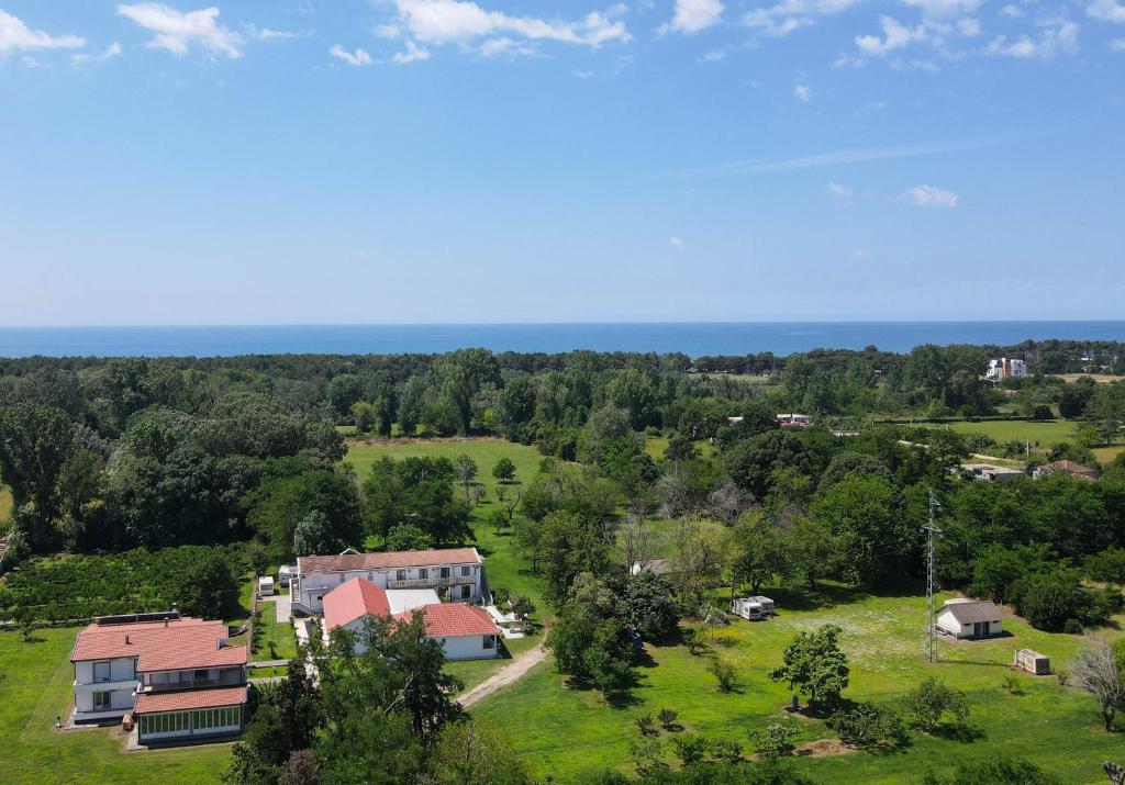 Tomi Guesthouse - 4