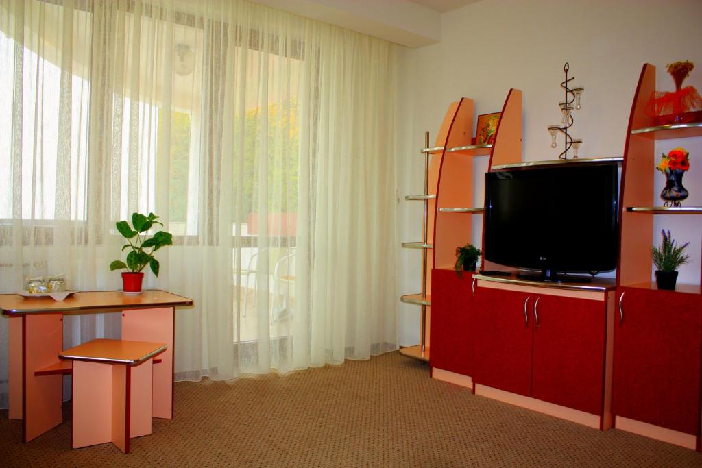 Pension Lidana Bucovina photo