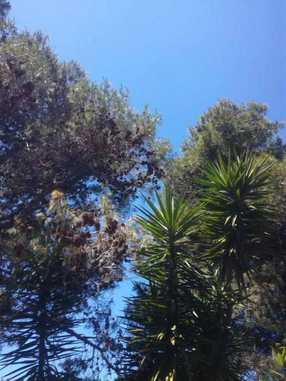 maison proche des plages - 4