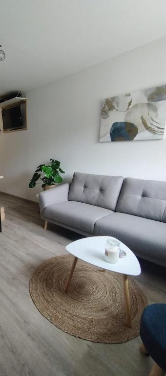Home Sweet Metz avec Parking & Netflix - 4