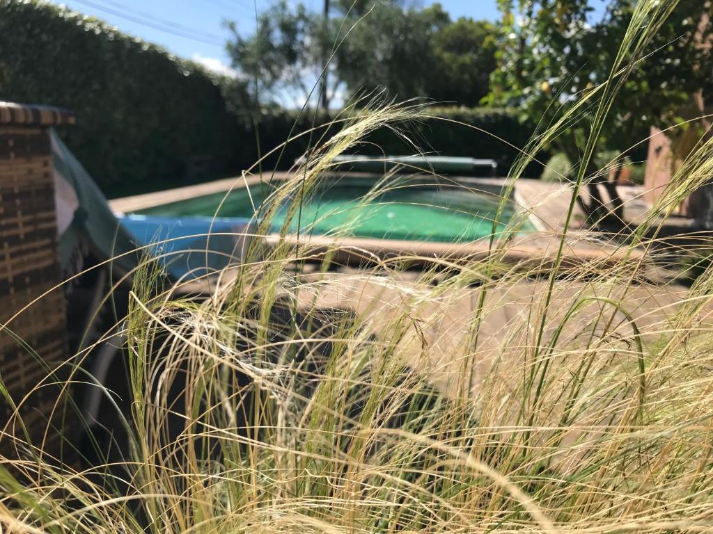 Chambre d'Hotes Coeur du Var, Le Luc