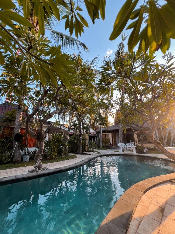Coconut Dream