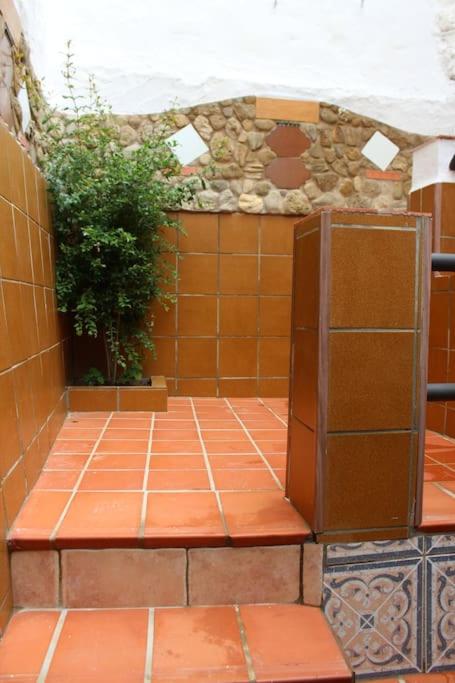 Casa Calero - 3