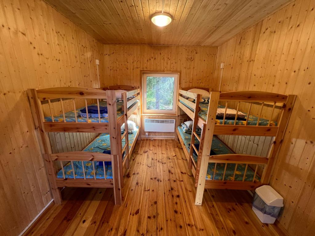 Alutaguse Tervisespordikeskuse Kämpingud, Vasavere