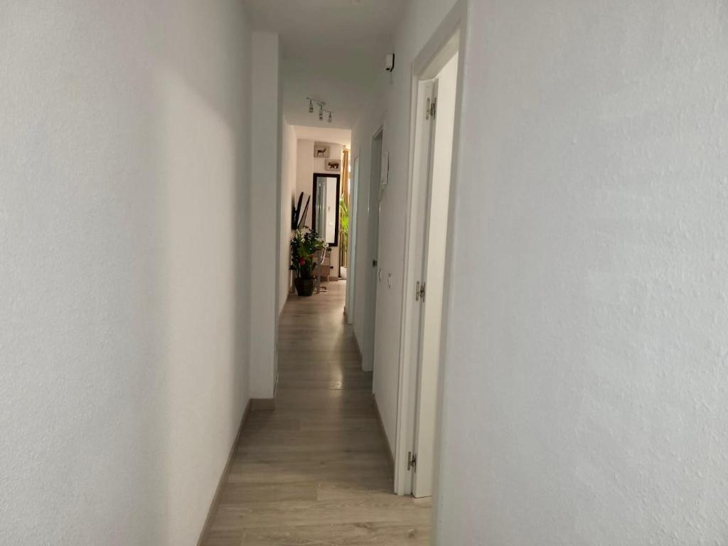 2 Bedrooms Flat 50 mts away from Las Canteras beach - 3