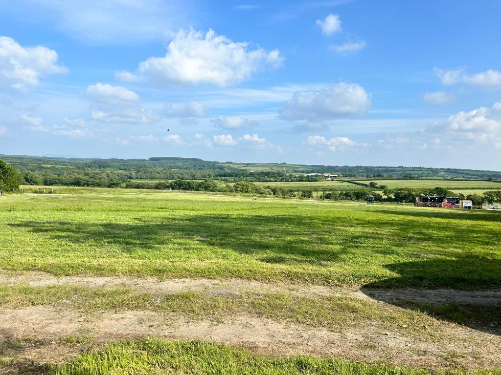 Bluebell, Holsworthy