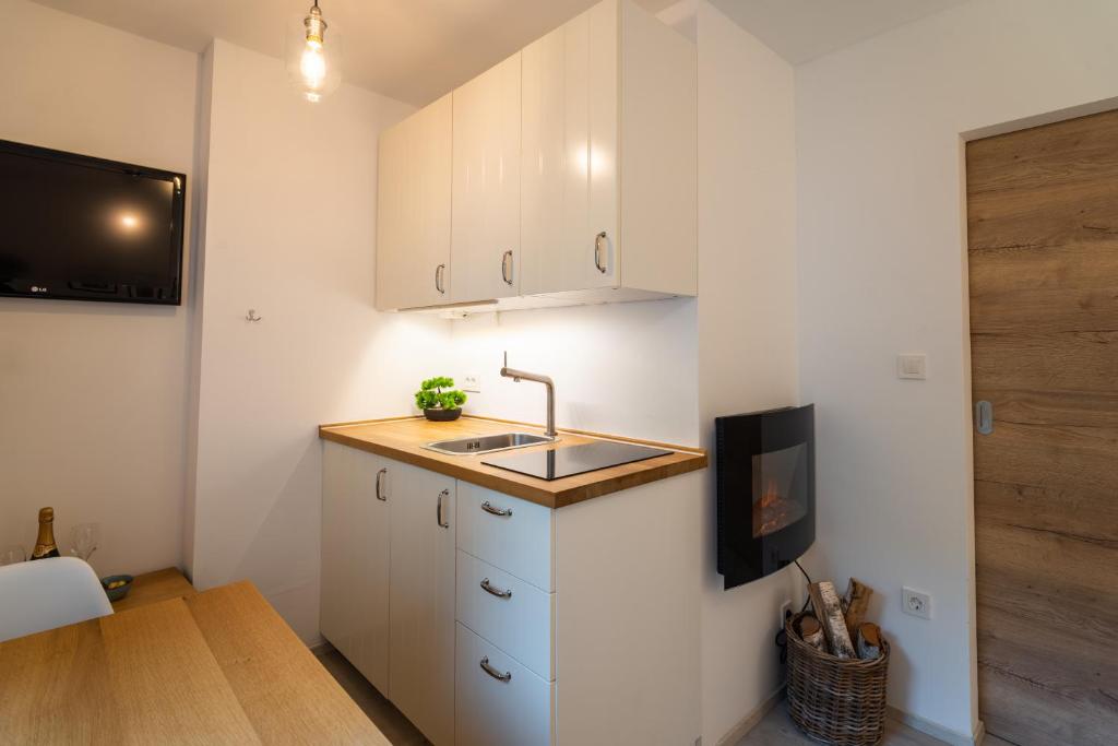Apartment Loyd Kranjska Gora - studio 전경