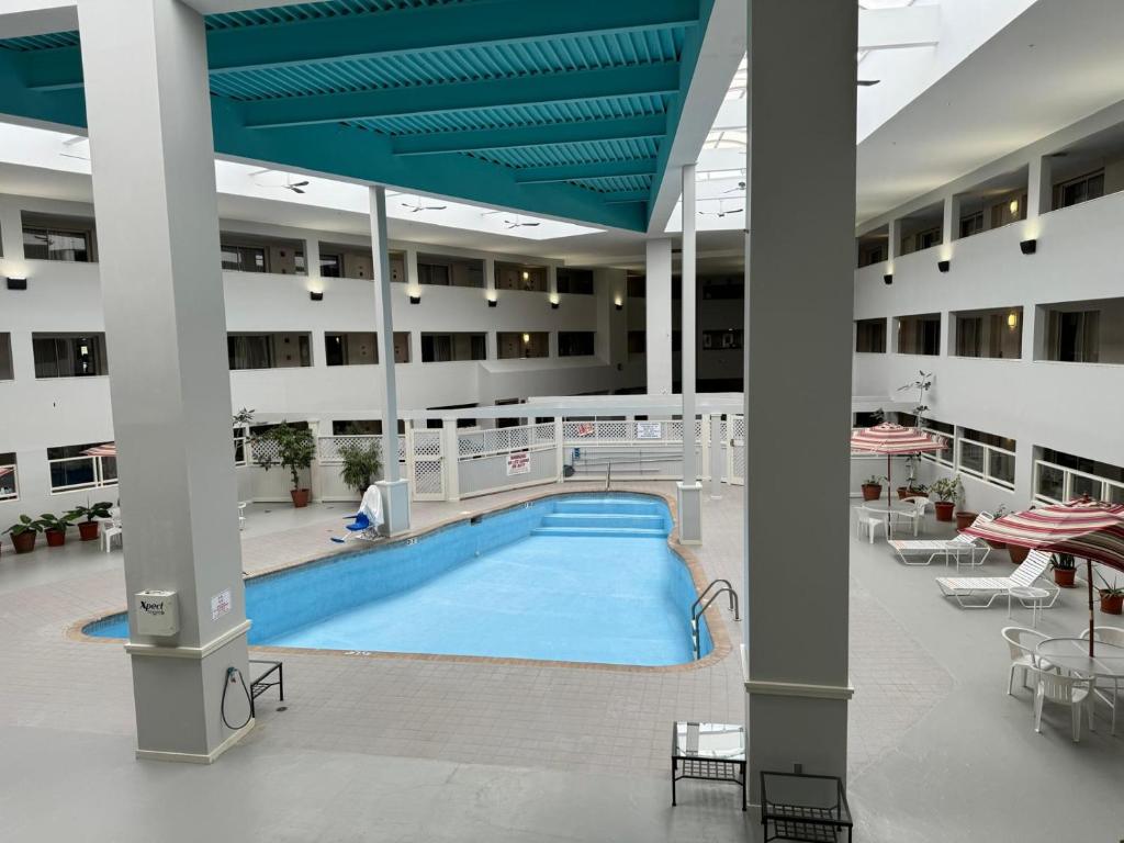 スイミングプール