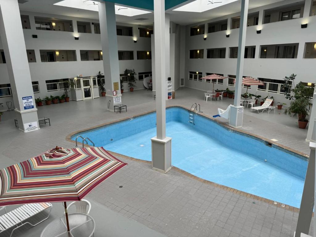 スイミングプール