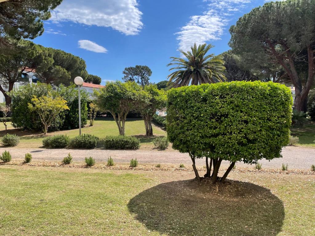 Appartement cosy à Argelès Plage, 4 couchages - FR-1-309-458 - 2