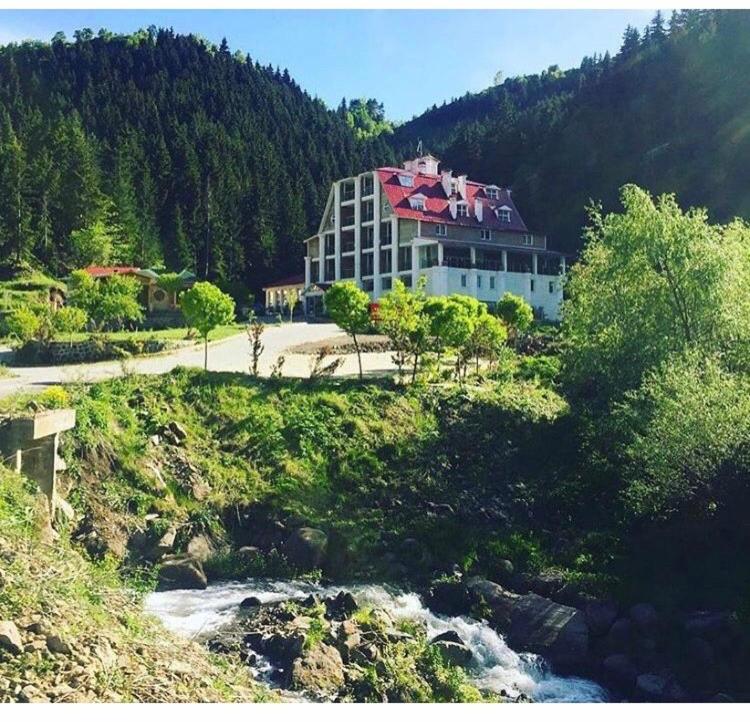 Hotel Green Valley Savsat