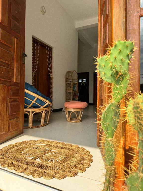 Salty Alchemy, Arugam Bay