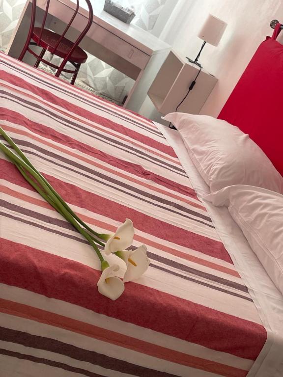 B&B Madama Teresa - 2