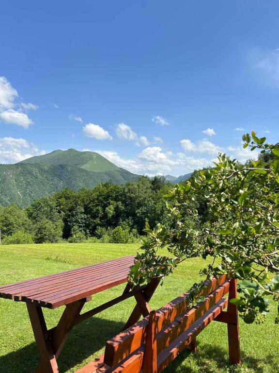 Surrounding environment