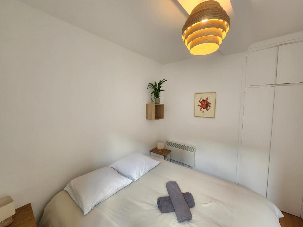 Le Cocon du Château - Appt 4pers - Hypercentre - 4