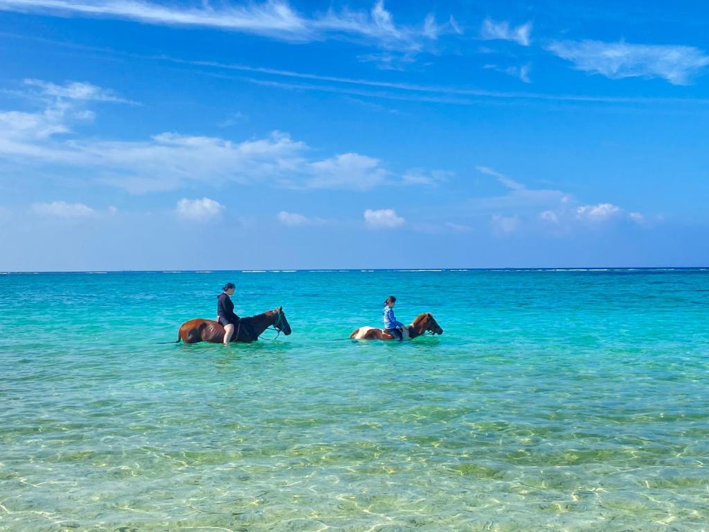 Horseback riding