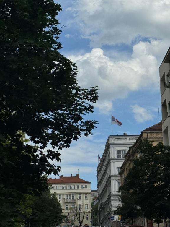 Belgrade Lux Charm Stay - 4