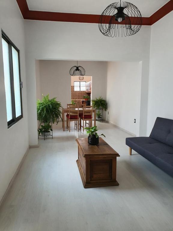 HERMOSO DEPARTAMENTO AMPLIO COLONIA ROMA SUr - 1