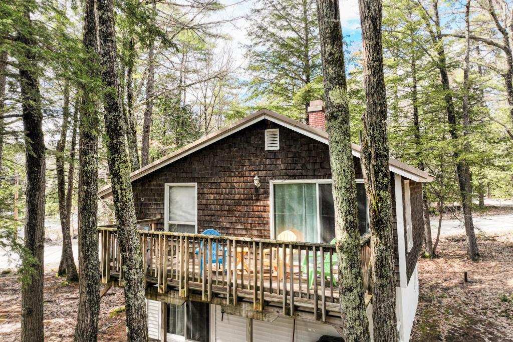 The Good Knight, Bridgton