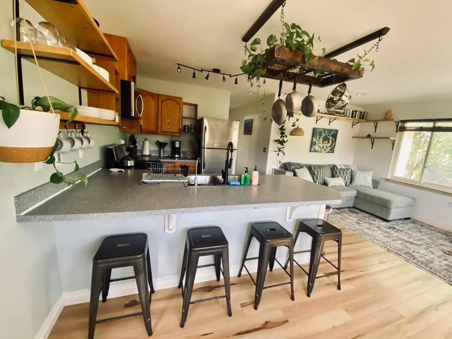 Fairview Getaway, Homer