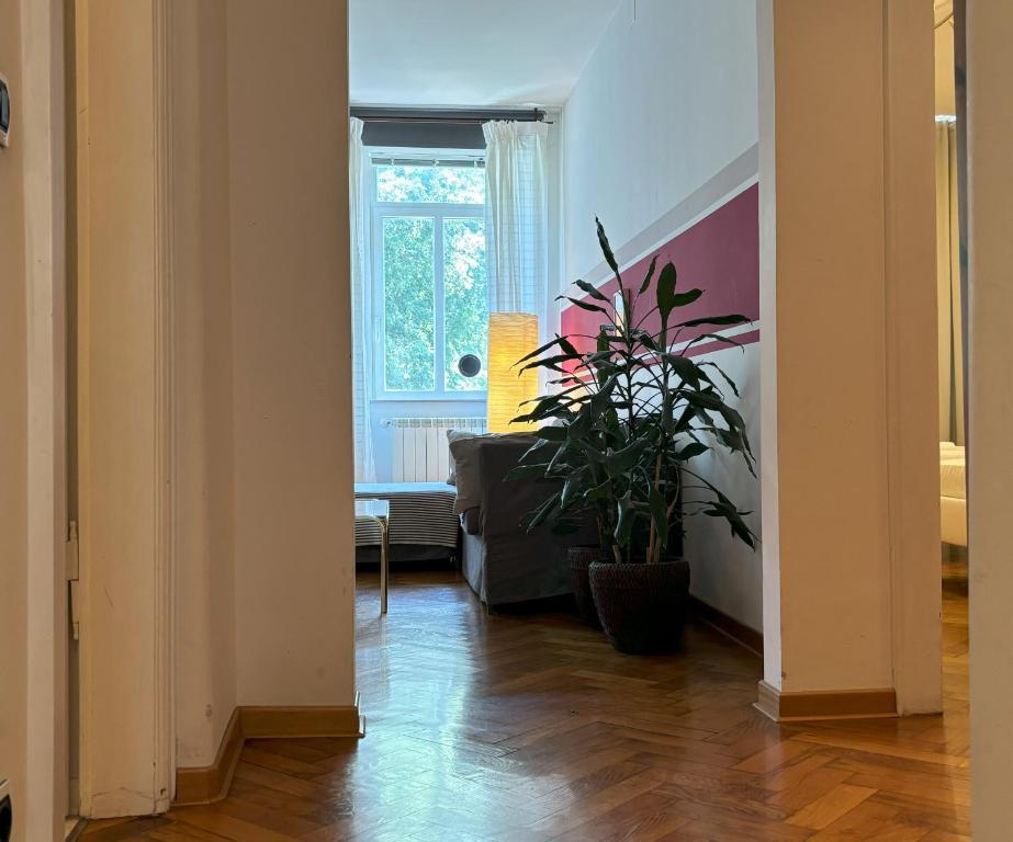 Flat Belpoggio 13 - 2