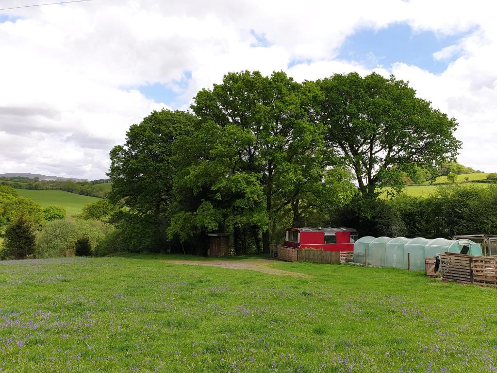 The Megabus near Tavistock and Dartmoor., Lamerton