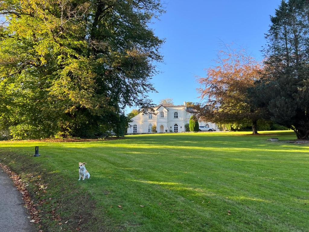 Moorswater Lodge, Liskeard