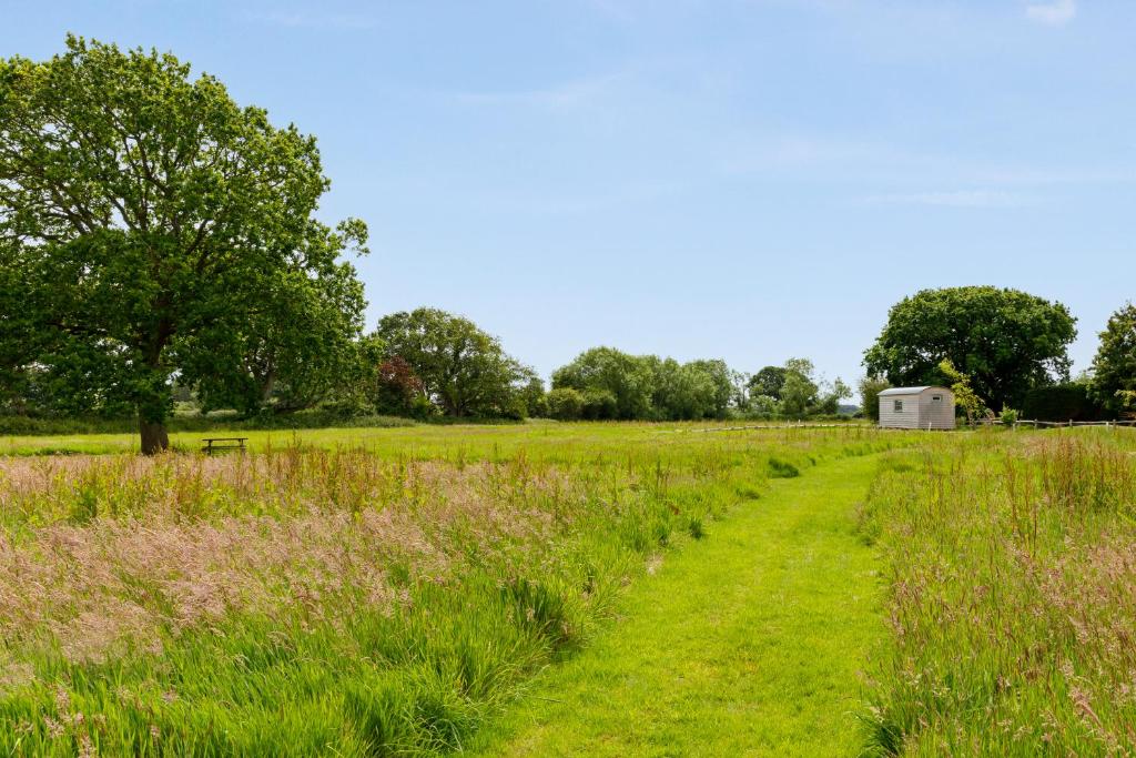 The Witterings Shepherds' Hut photo 6
