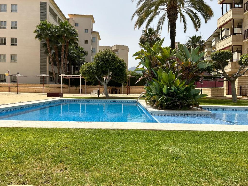 Albir Calle Pau Casals - 5