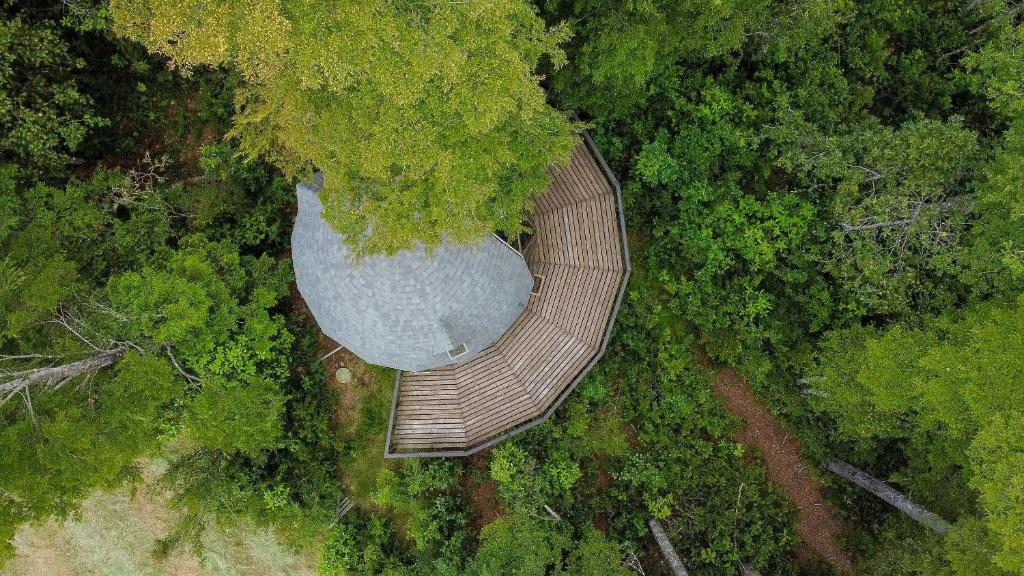 Hermoso domo en altura entre el bosque nativo + tinaja privada - 3