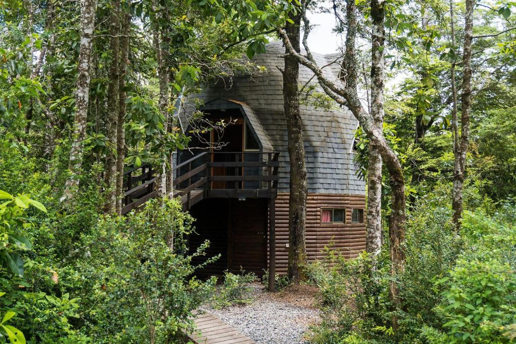 Hermoso domo en altura entre el bosque nativo + tinaja privada - 5