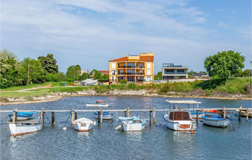 Beautiful Apartment In Pomer With Wifi, Pomer