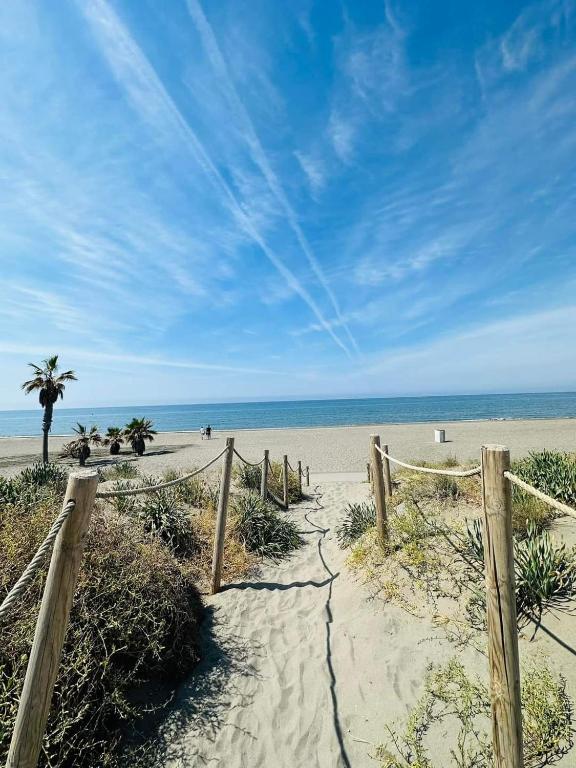 Ferrara playa - 1