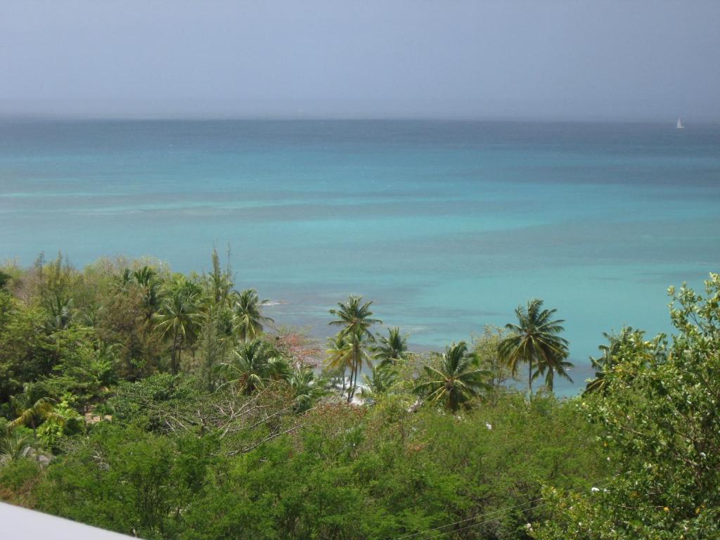 Palm Cottage photo