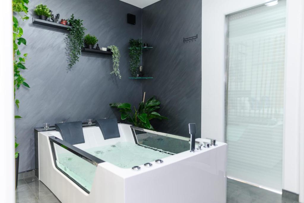 SPA apartman Tomin adults only - 1