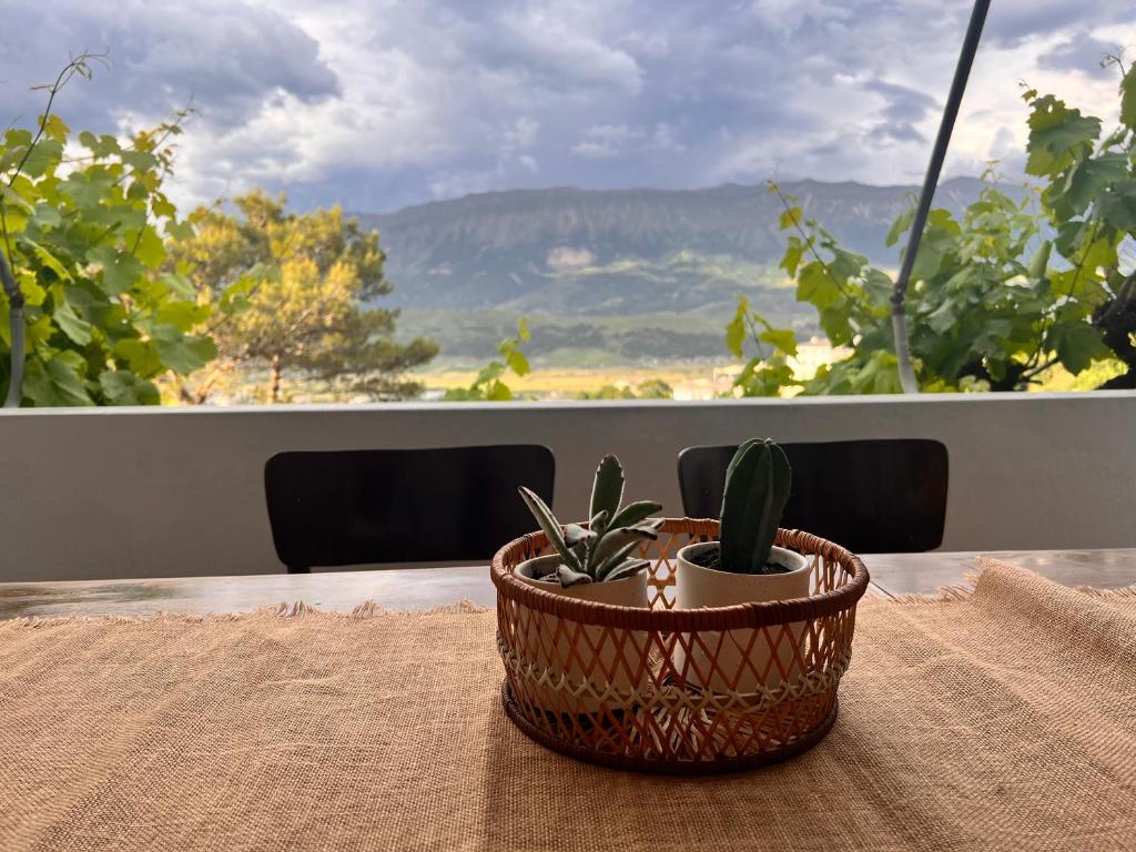 Thimjos & Ritas Guesthouse, Gjirokastër