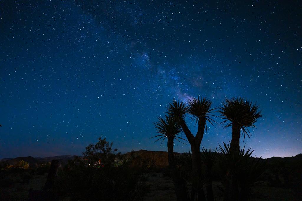 Skelton Compound, Twentynine Palms