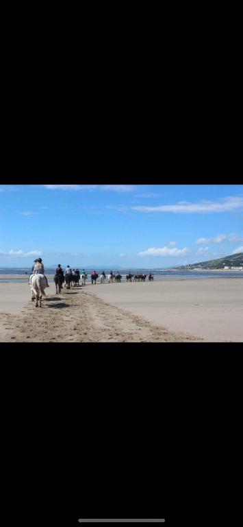 Kimberly House, Fairbourne photo 7