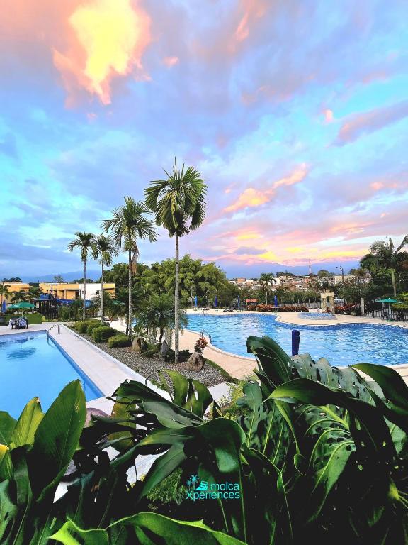 Apartamentos Privados de 3H y 2H a 5m del Aeropuerto, 20 minutos del Parque del Cafe y Centro de Armenia con 4 Piscinas, 3 Jacuzzi, Sauna By Molca - 1